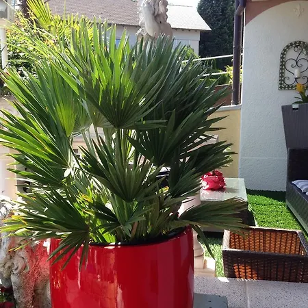 La * Sinzheim