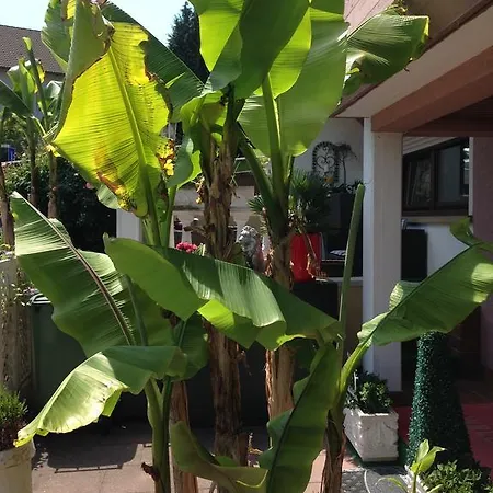 Διαμέρισμα La *